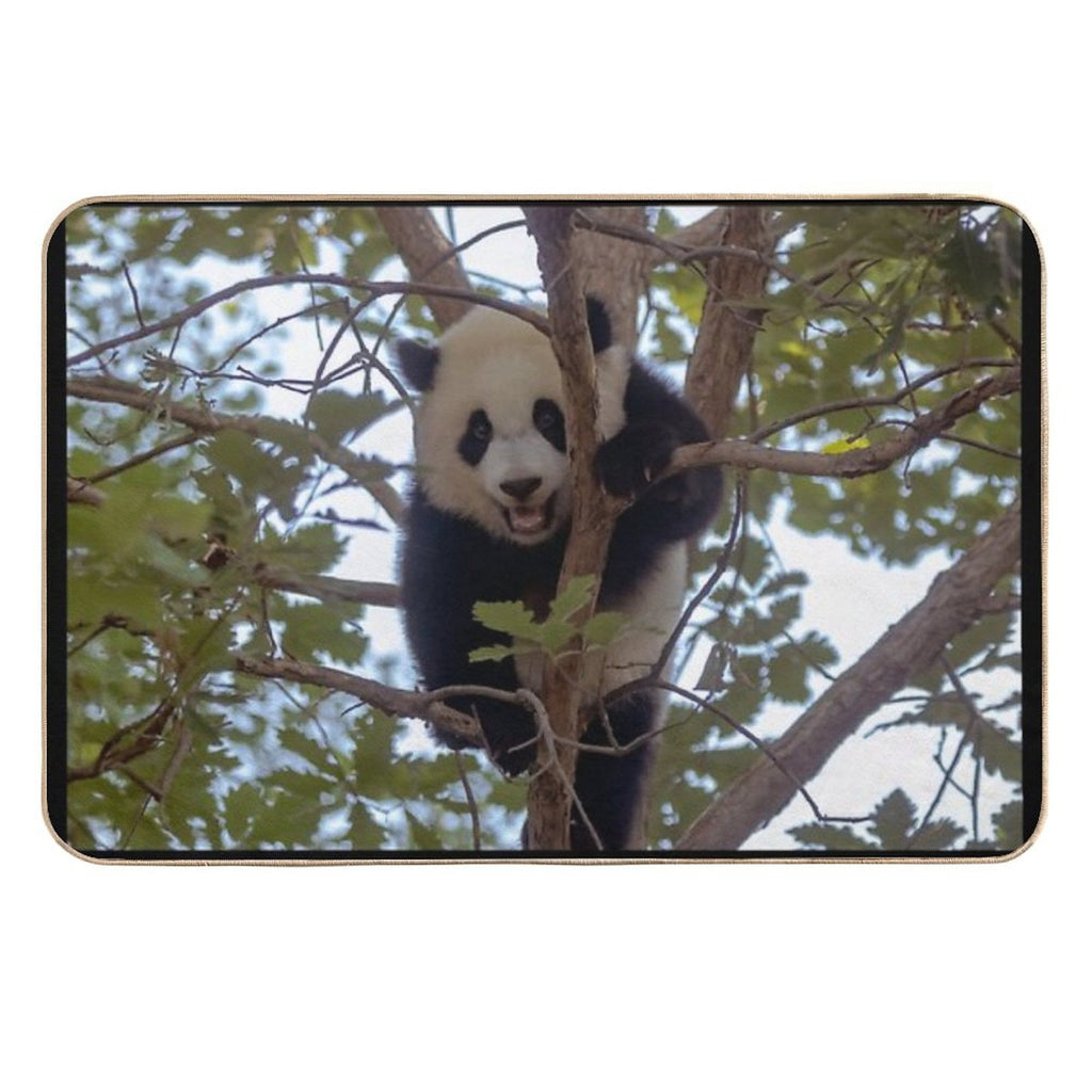 Baby Panda Xiao Qi Ji at The National Zoo  Dirt-Trapping Bath Mat