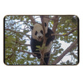 Baby Panda Xiao Qi Ji at The National Zoo  Dirt-Trapping Bath Mat