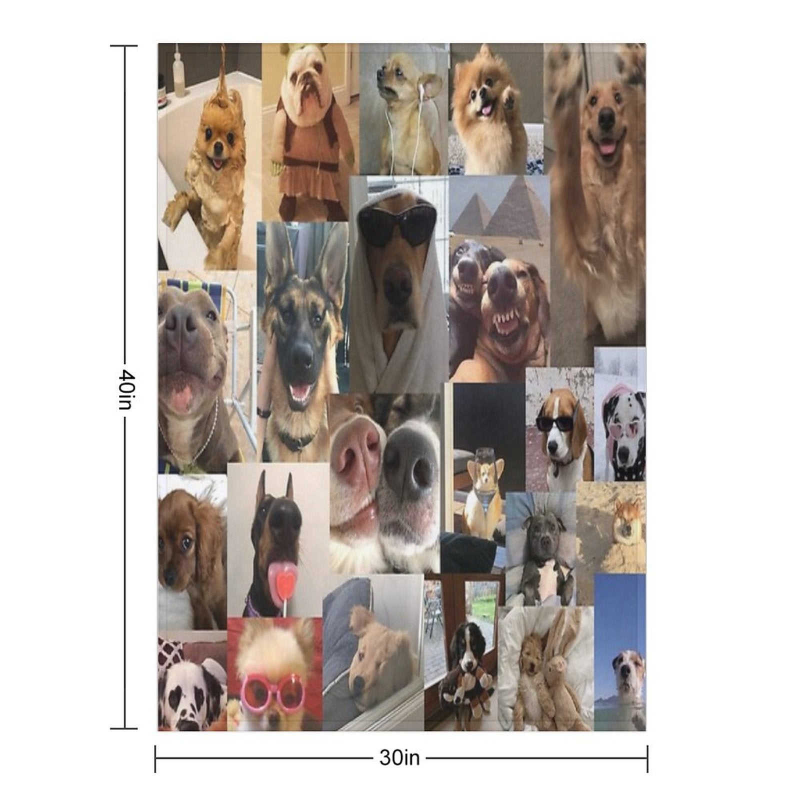 Dogs Aesthetic Collage Anti-pilling Throw Blanket