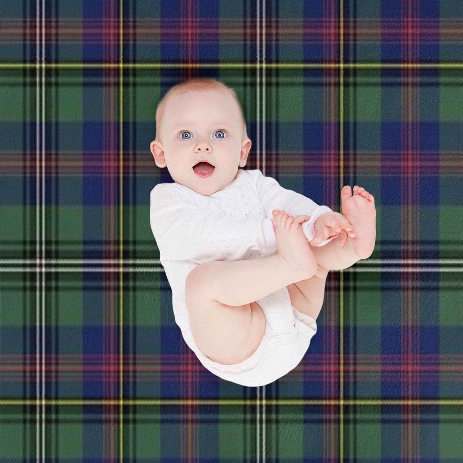 Clan Wood Tartan Velvety-soft Throw Blanket