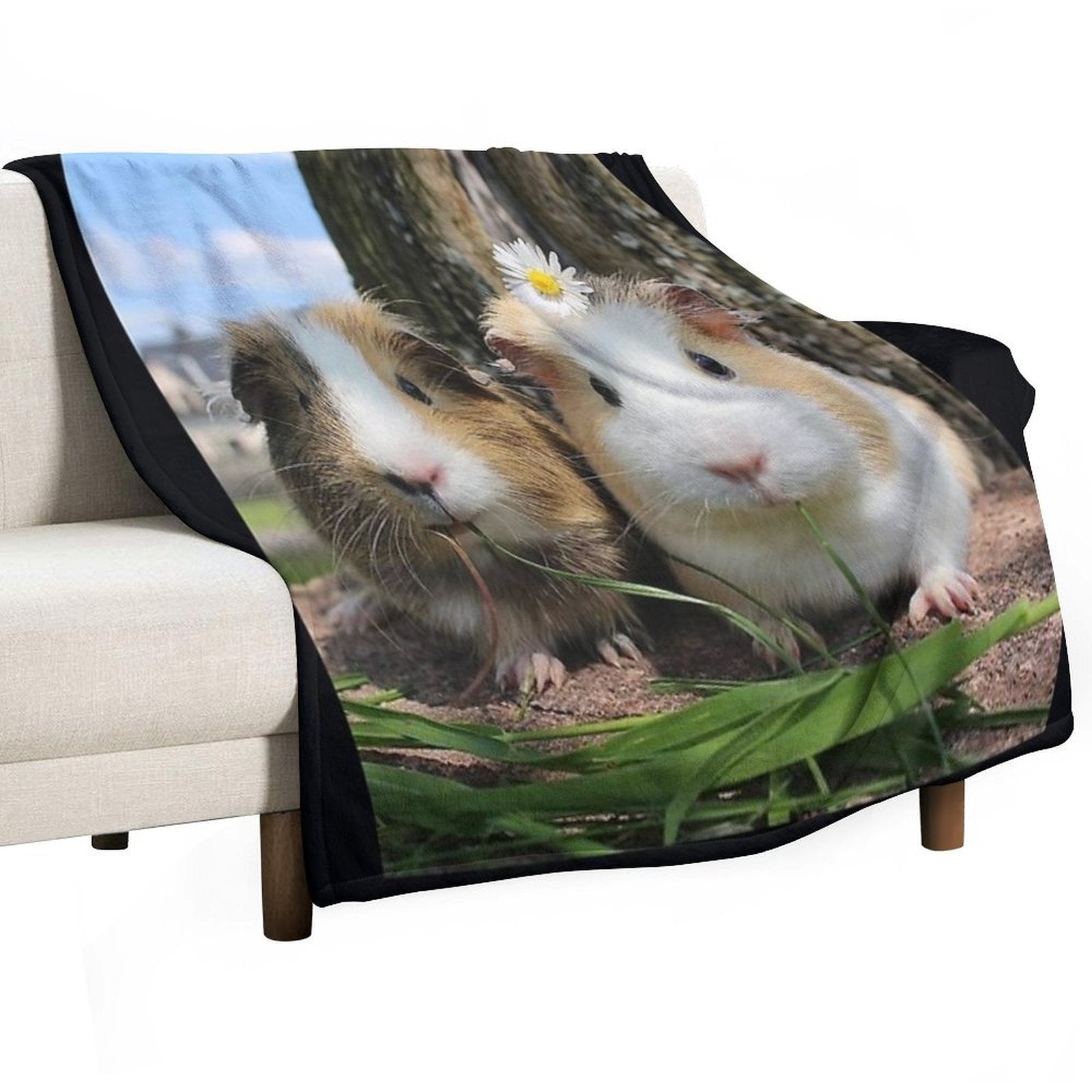 Guinea Pig – Cavy Collection – Model 01 Gift-ready Throw Blanket
