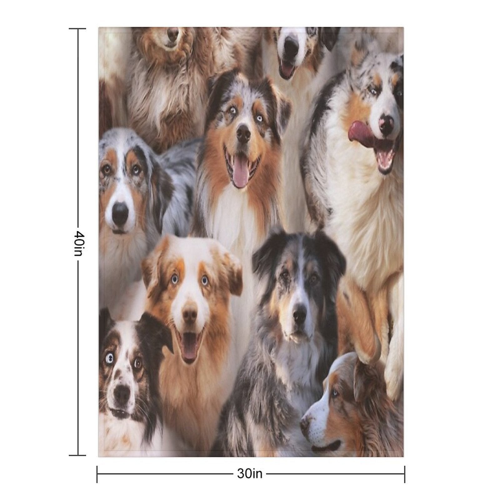 Australian Shepherds Plush Throw Blanket