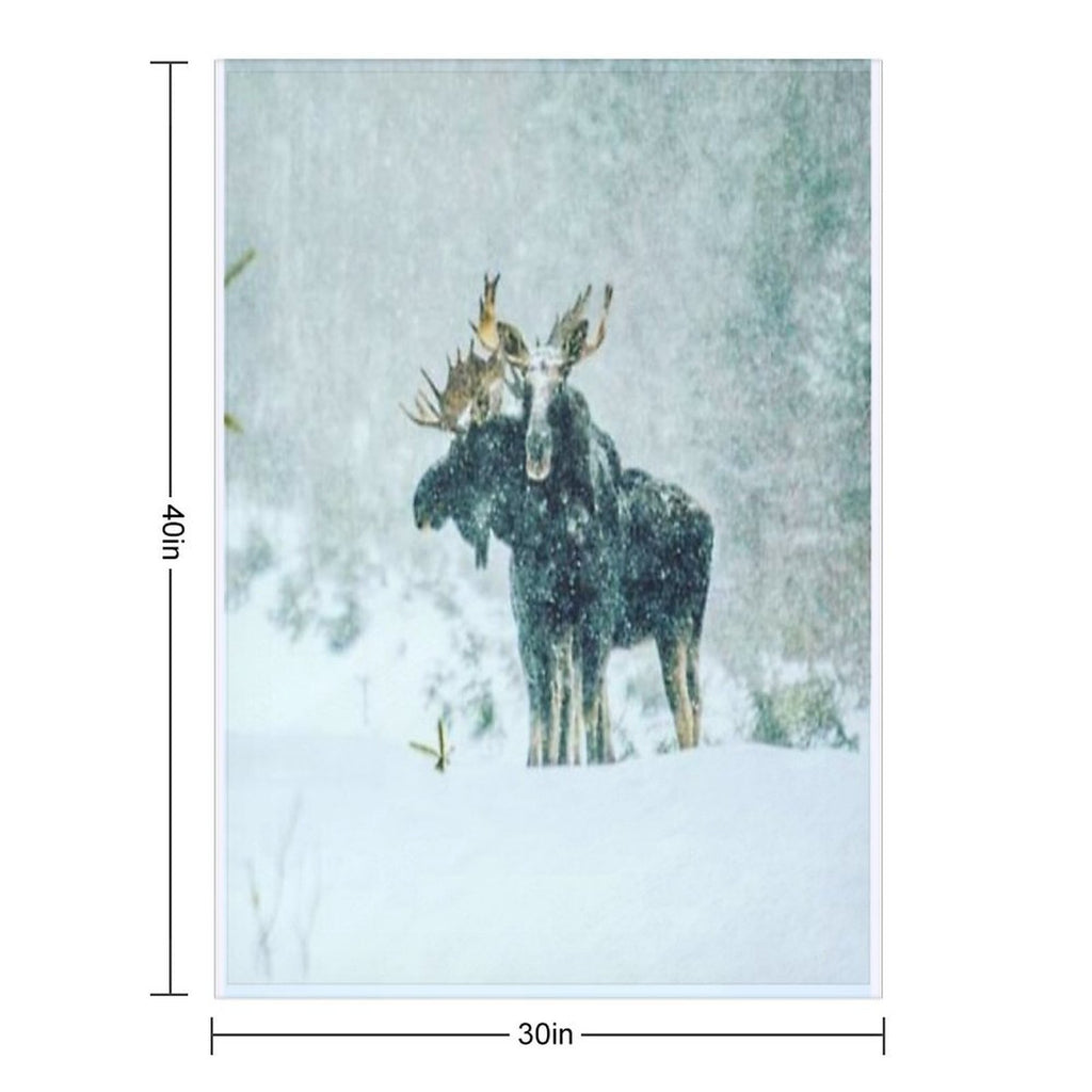 Bull Moose Easy Care Throw Blanket