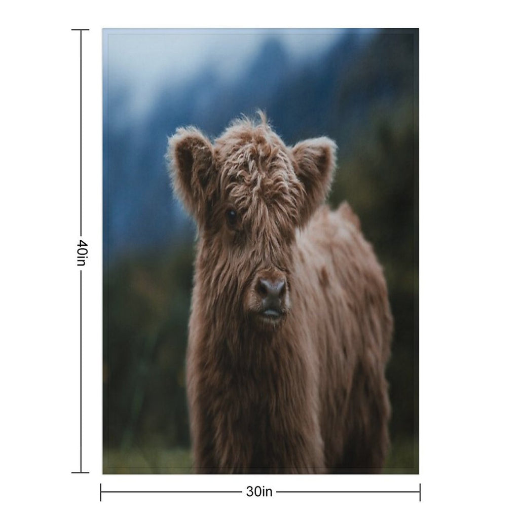 Baby Highland Cow Durable Throw Blanket