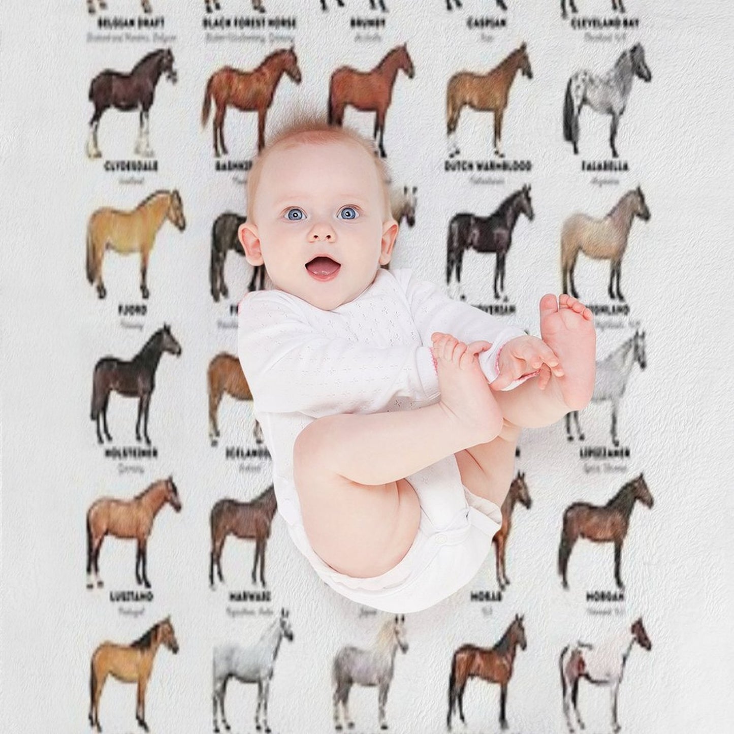 Horse Breeds Of The World Multi-functional Throw Blanket