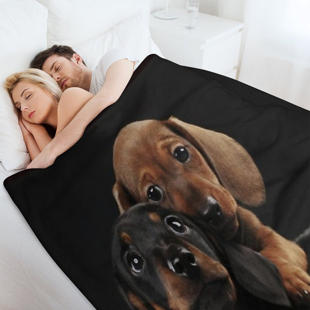Dachshund Dog Portrait Photo Pupies Velvety-soft Throw Blanket