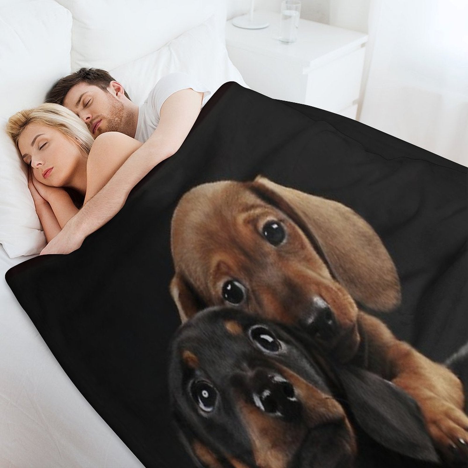 Dachshund Dog Portrait Photo Pupies Velvety-soft Throw Blanket