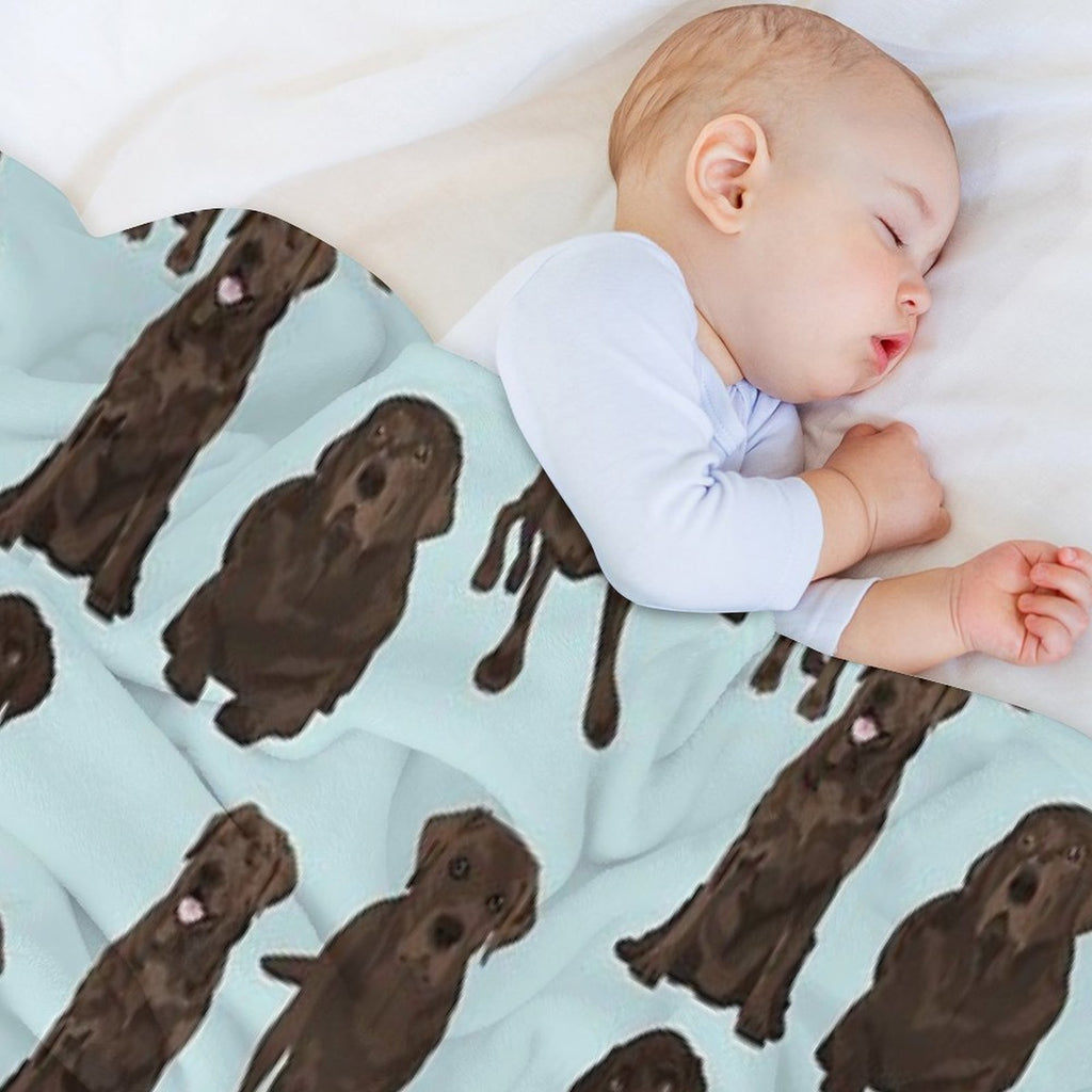 Chocolate Lab Quick-dry Throw Blanket