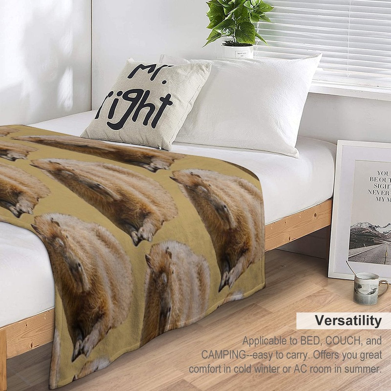 Capybara Dozing in The Sunshine Comfort Throw Blanket