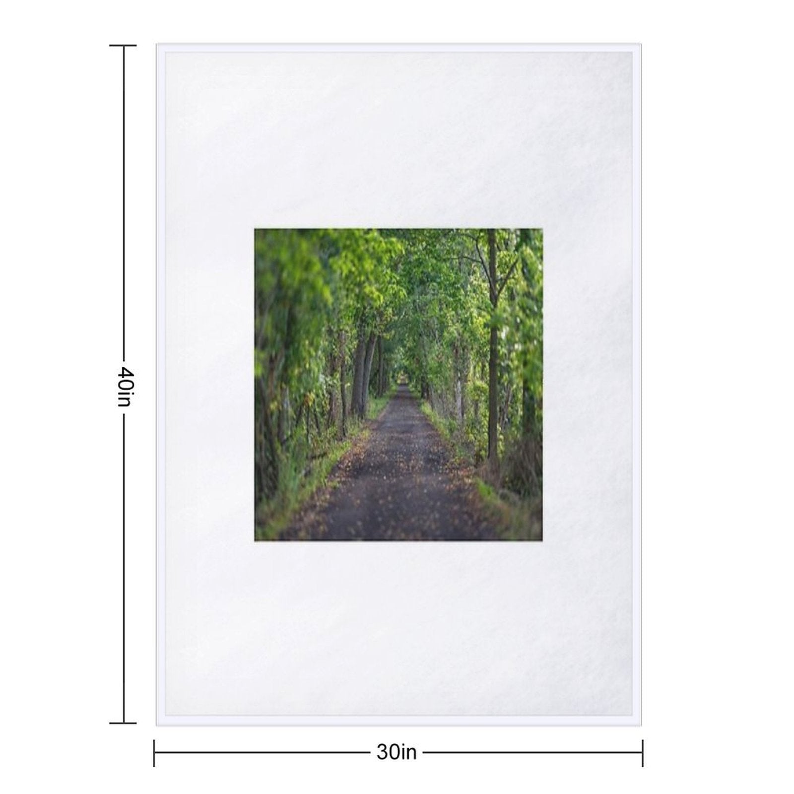 A Hiking Trail Leading Into The Green Woods Multi-functional Throw Blanket