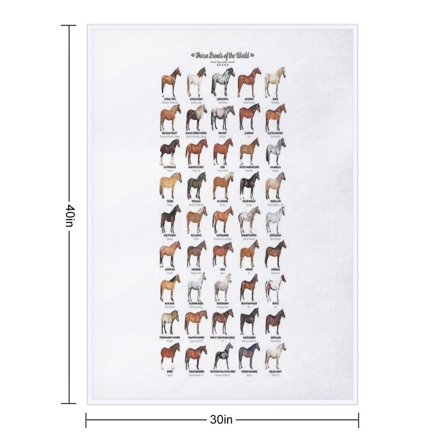Horse Breeds Of The World Multi-functional Throw Blanket