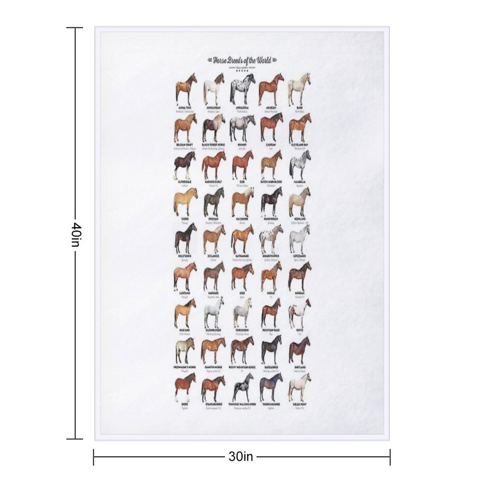 Horse Breeds Of The World Multi-functional Throw Blanket