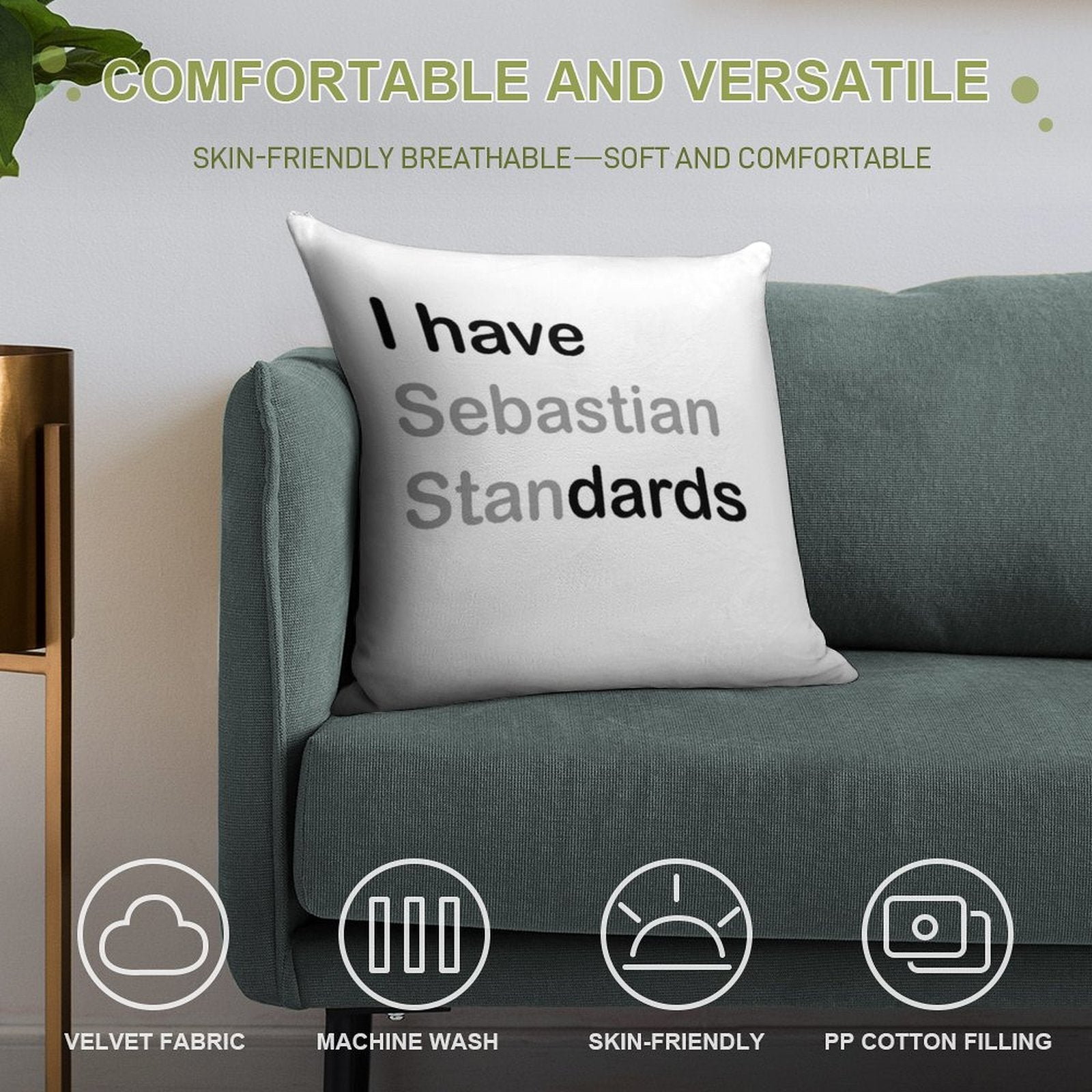 I HAVE (sebastian) STANDARDS Soft Reinforced Edging Throw Pillow
