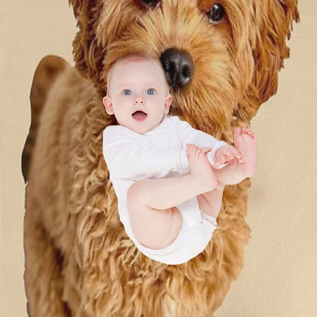 Cavapoo Multi-functional Throw Blanket