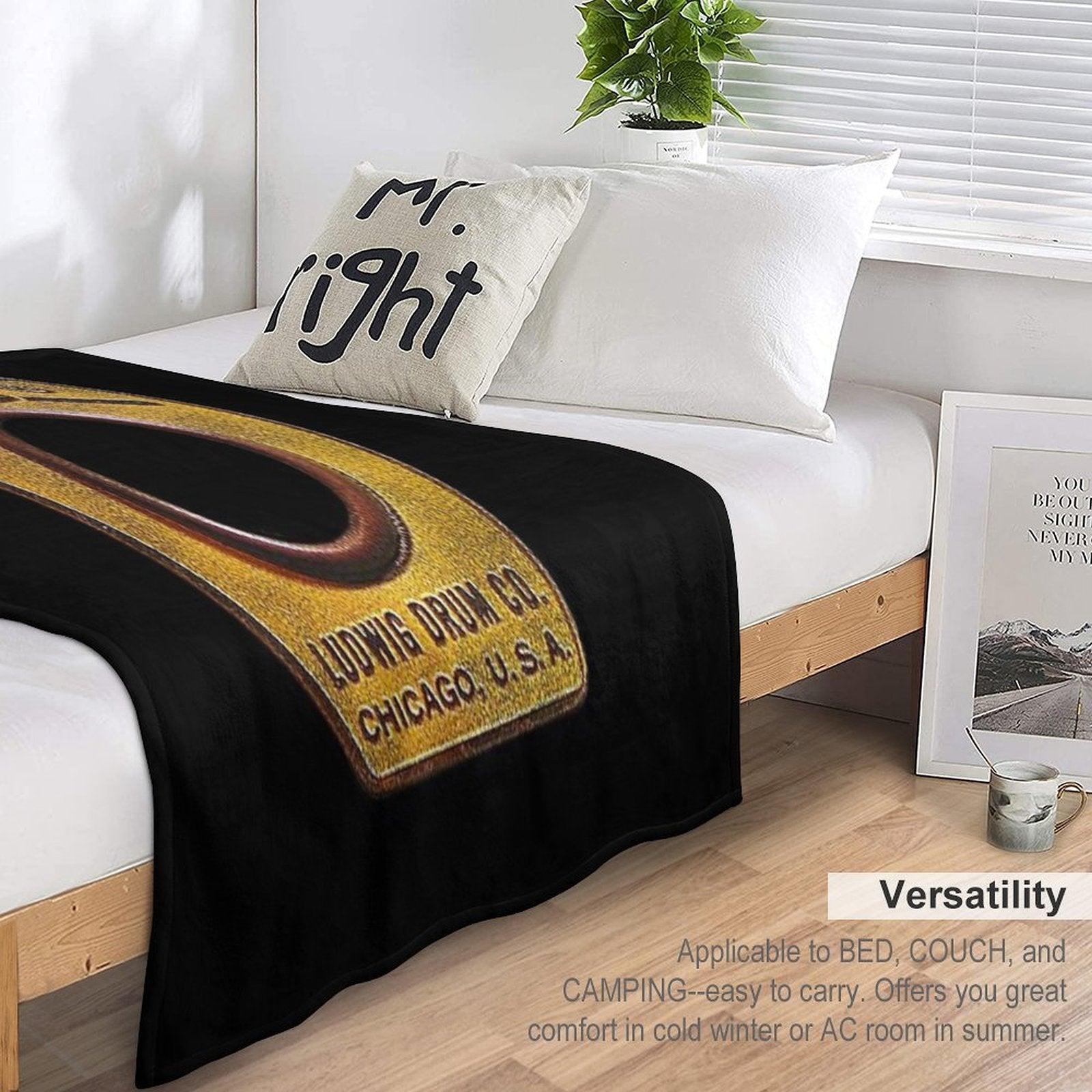 Ludwig Badge Worn Plush Throw Blanket