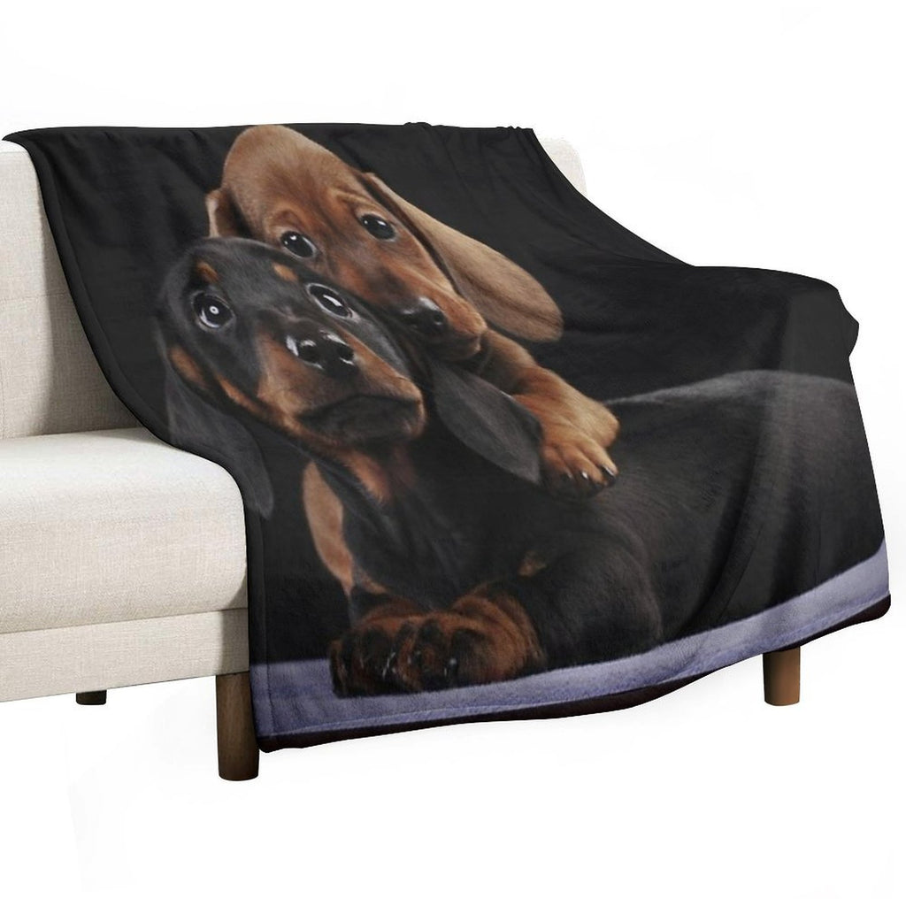 Dachshund Dog Portrait Photo Pupies Velvety-soft Throw Blanket