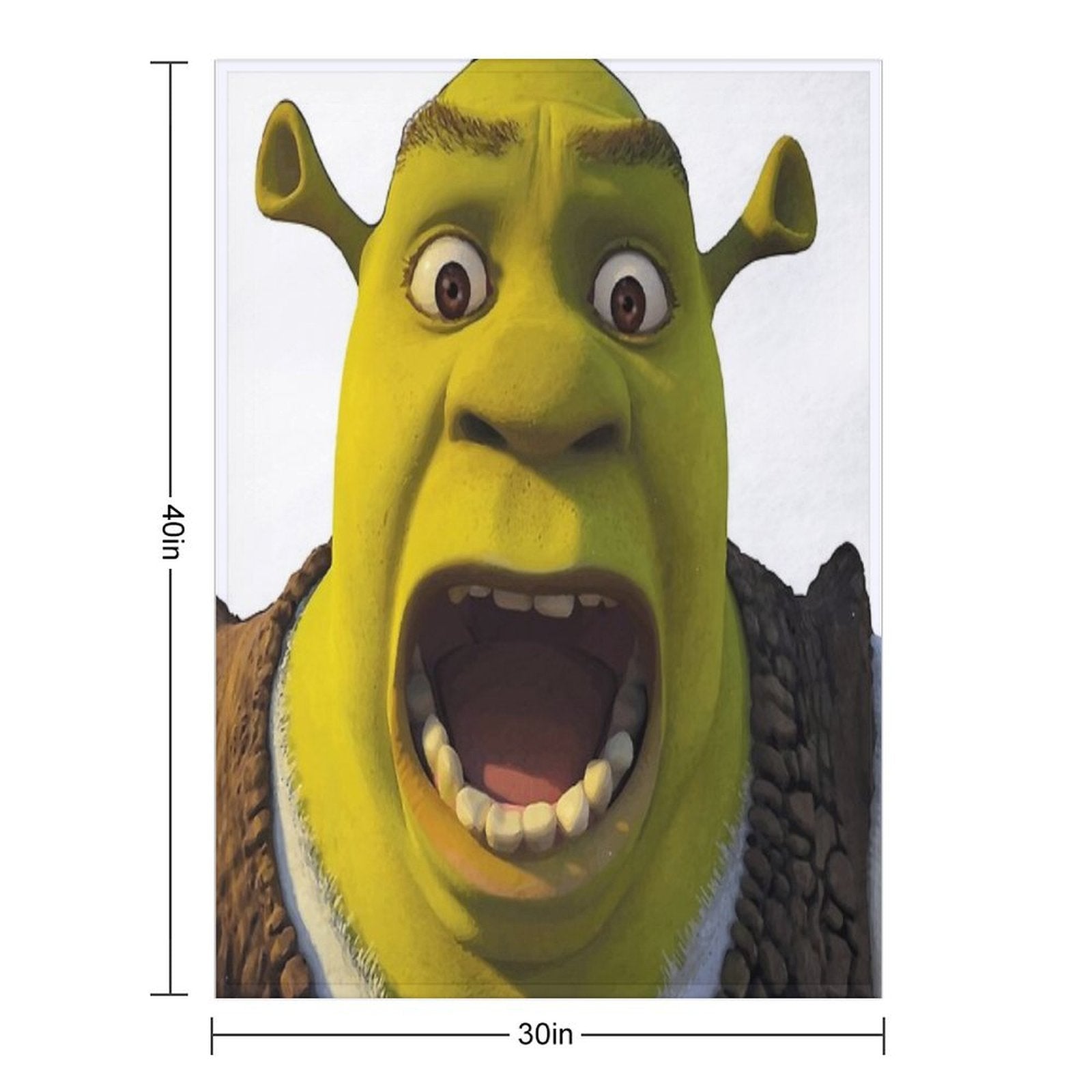 Surprised Shrek Meme Sticker – Funny Ahh! You Just Scared Shrek Decal Easy Care Throw Blanket