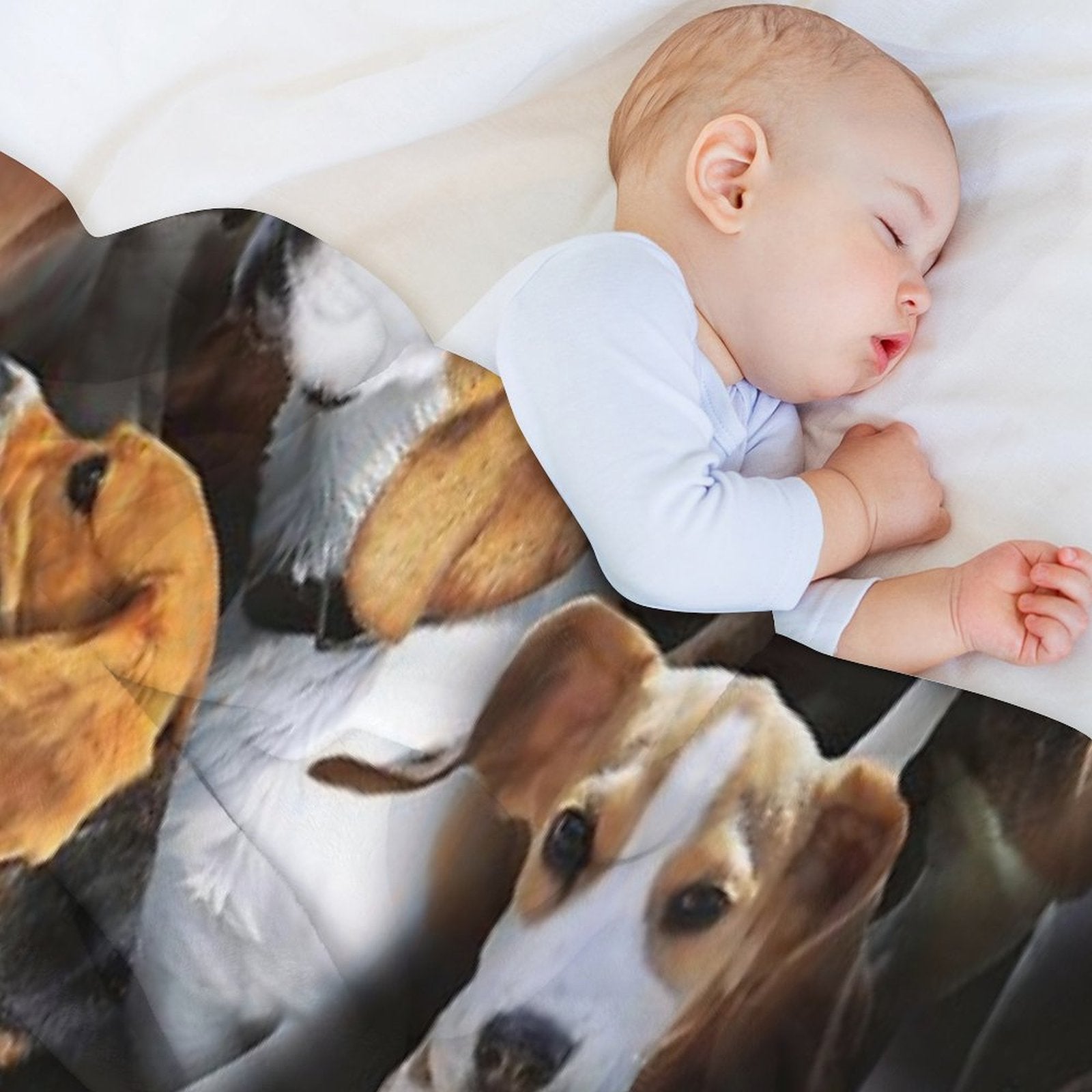 Beagles All-season Throw Blanket