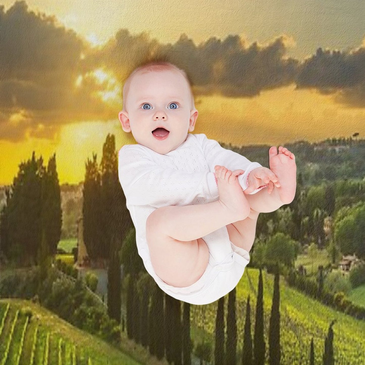 Vineyards And Countryside Landscape in Maremma. Tuscany Compact Throw Blanket