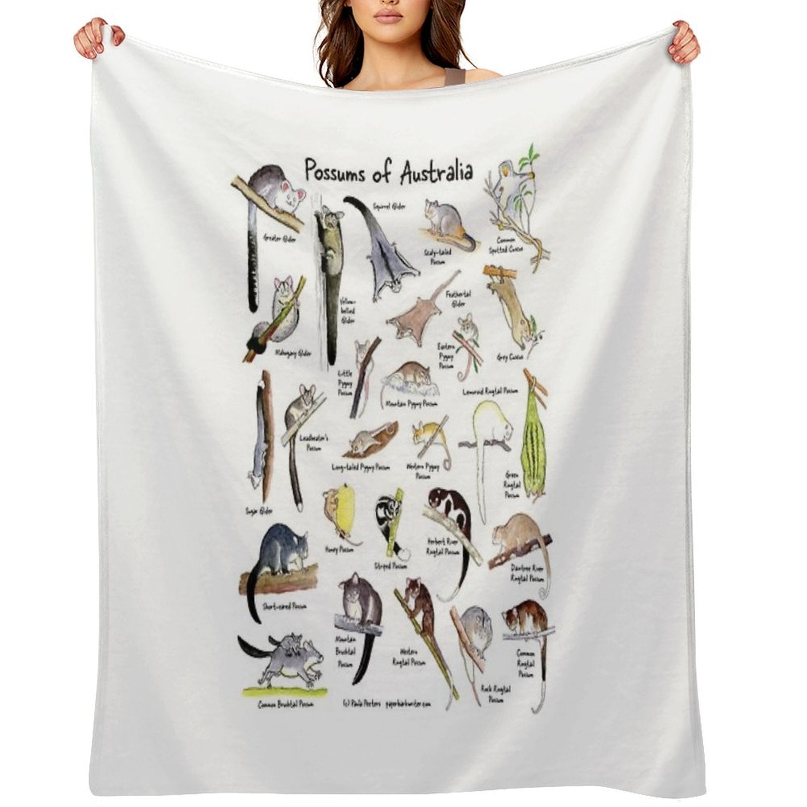 Possums of Australia (with Names) Wrinkle-free Throw Blanket