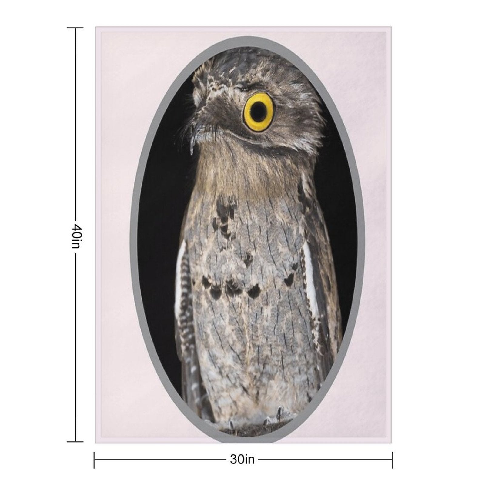 Potoo Bird Shrink-resistant Throw Blanket