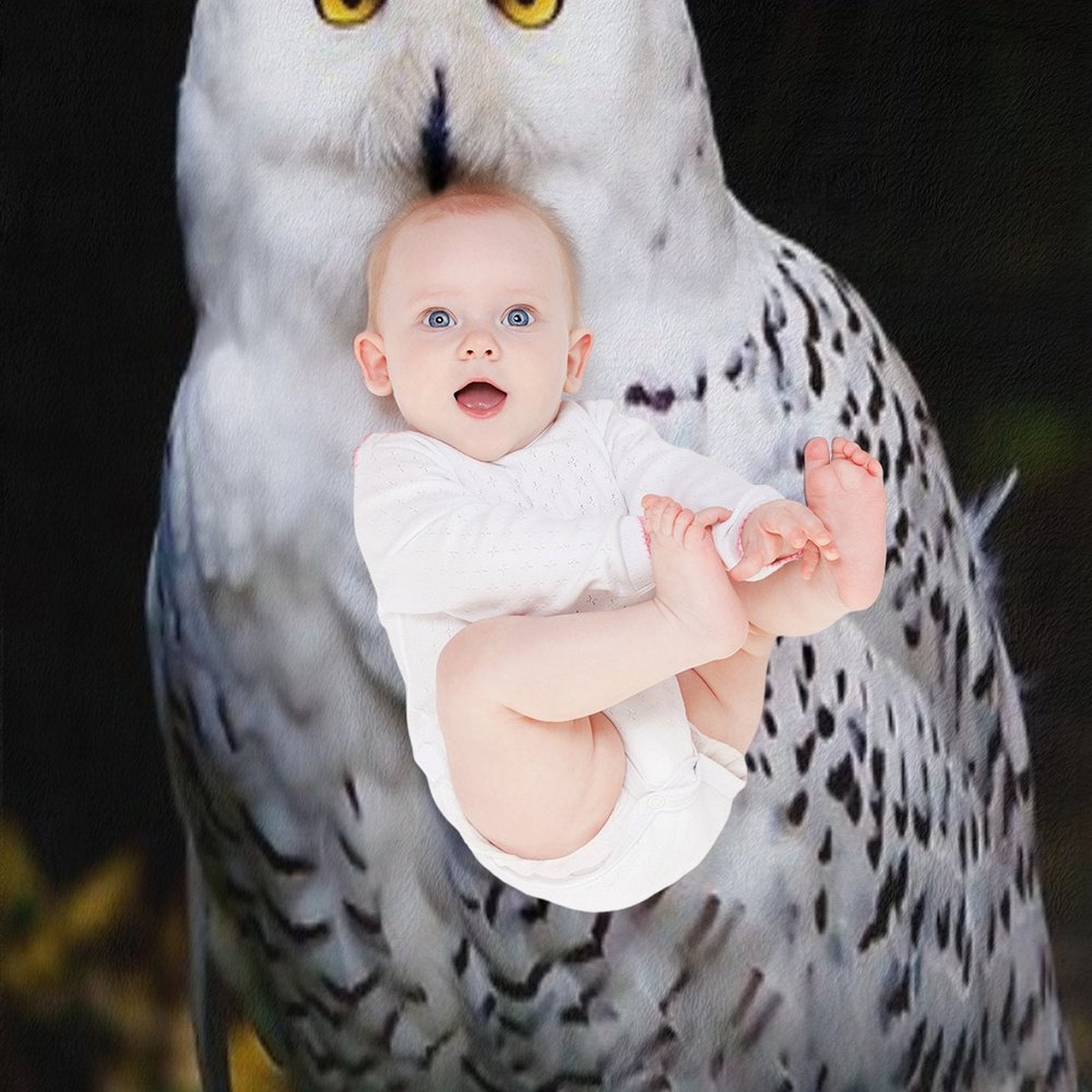 Majestic Winter Snowy Owl Durable Throw Blanket