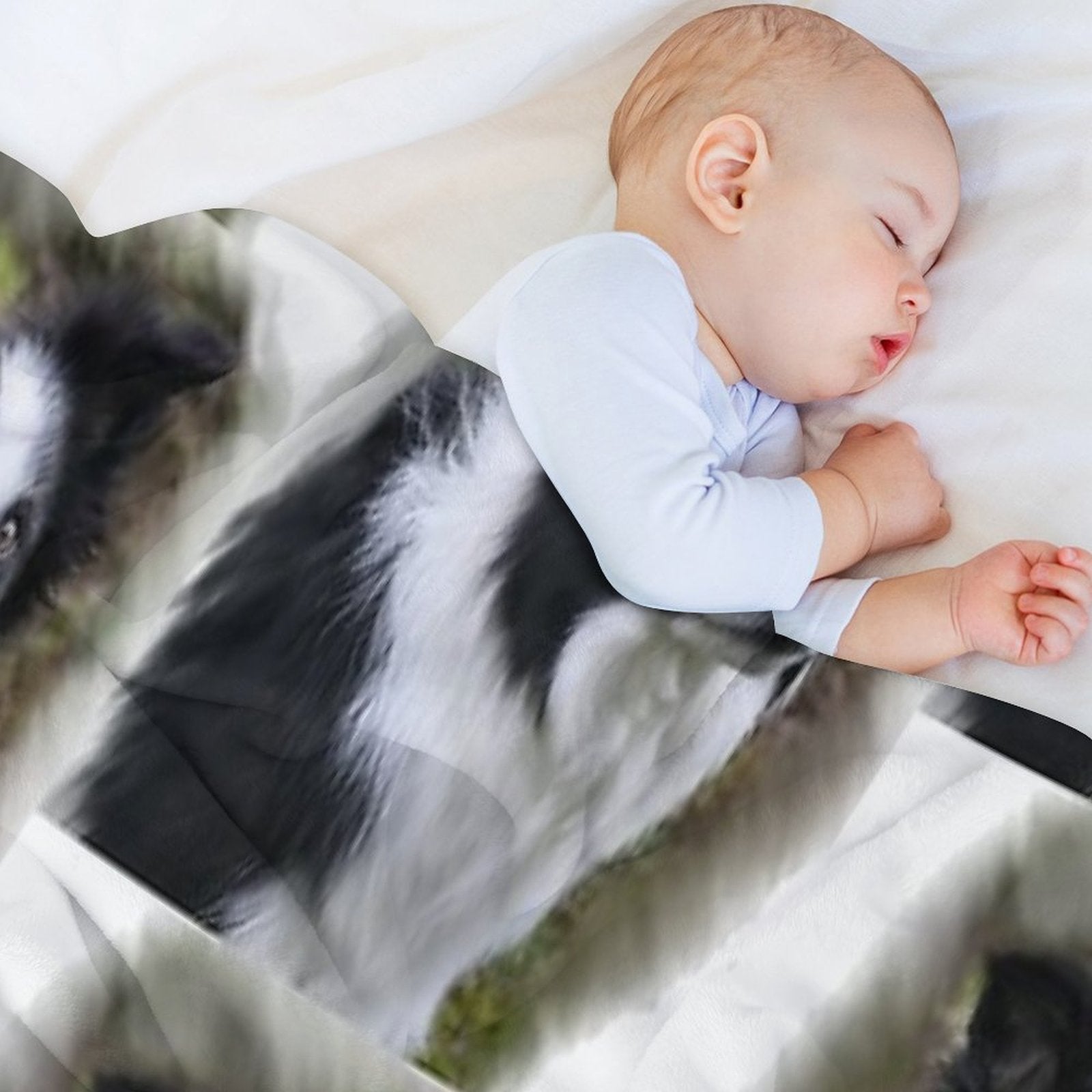 Border Collie Lover S Gifts Quick-dry Throw Blanket