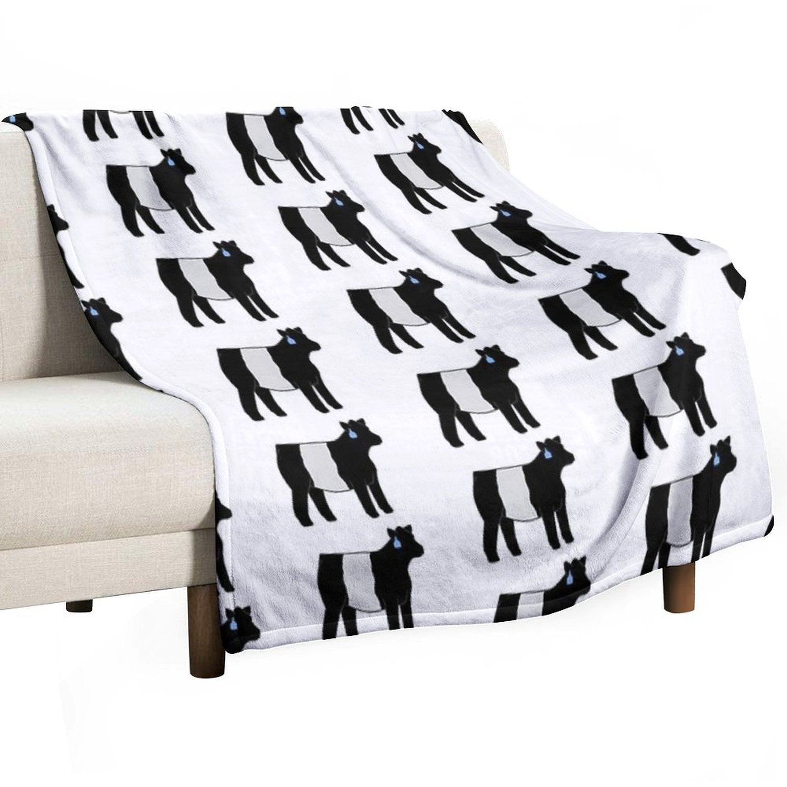Belted Galloway Heifer Wrinkle-free Throw Blanket