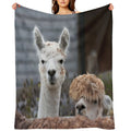 Curious Alpacas Cute Animals Travel-friendly Throw Blanket