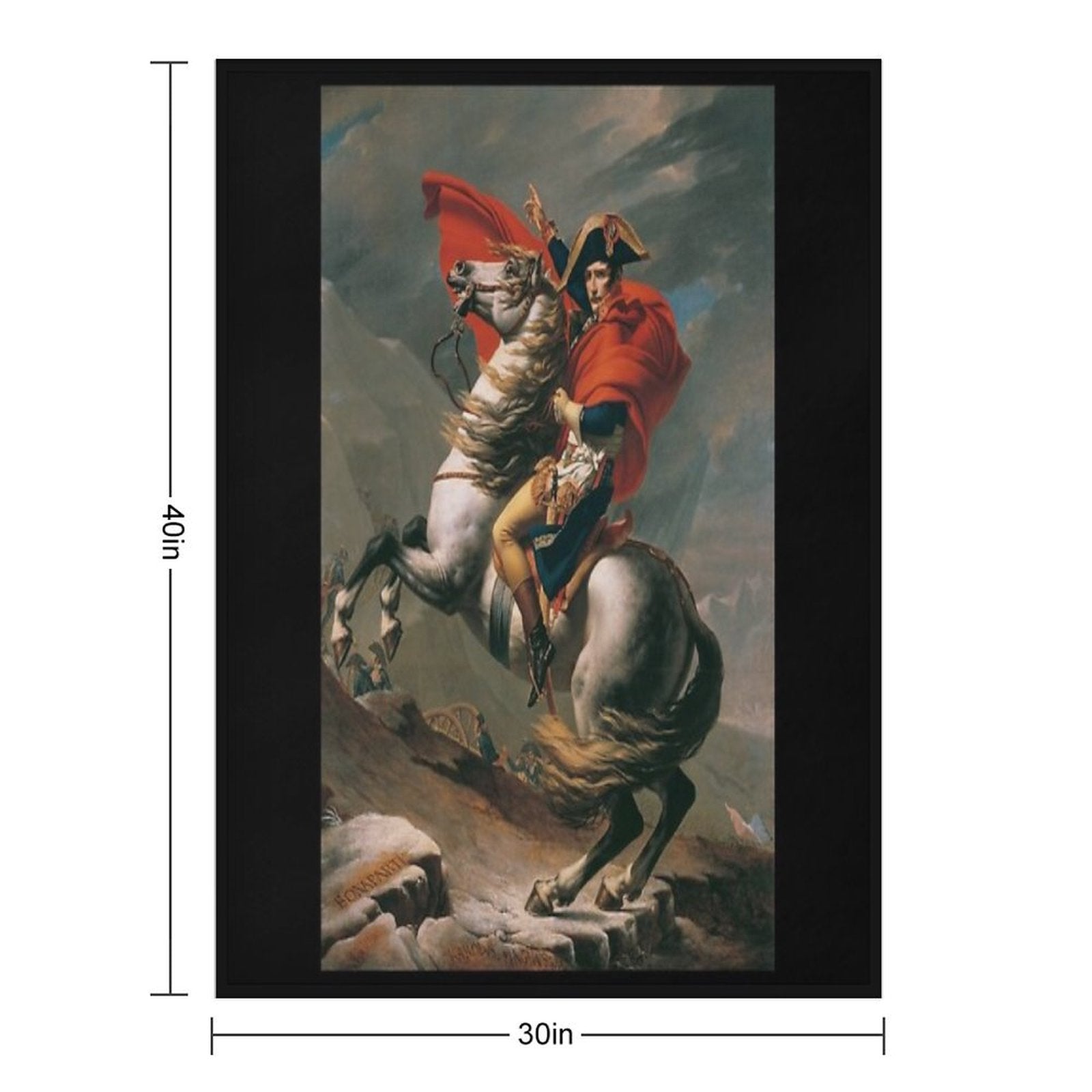 Napoleon Bonaparte Anti-pilling Throw Blanket
