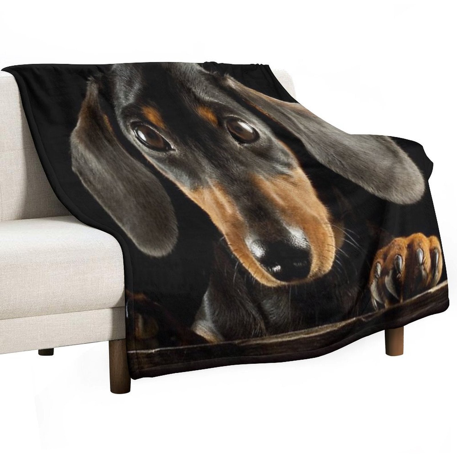 Dachshund Dog Photo Portrait Travel-friendly Throw Blanket