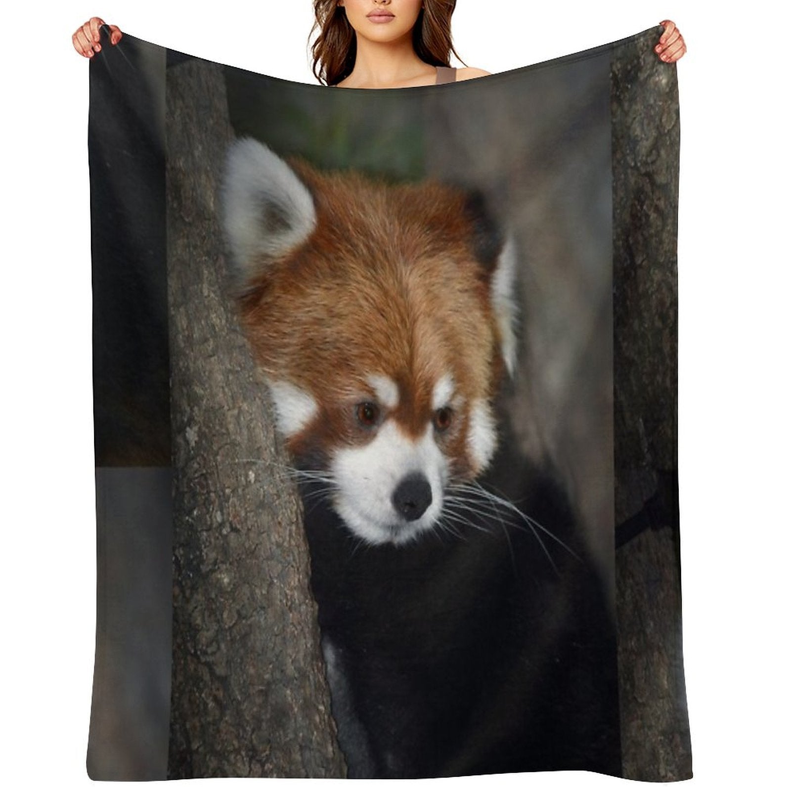 Red Panda Comfort Throw Blanket