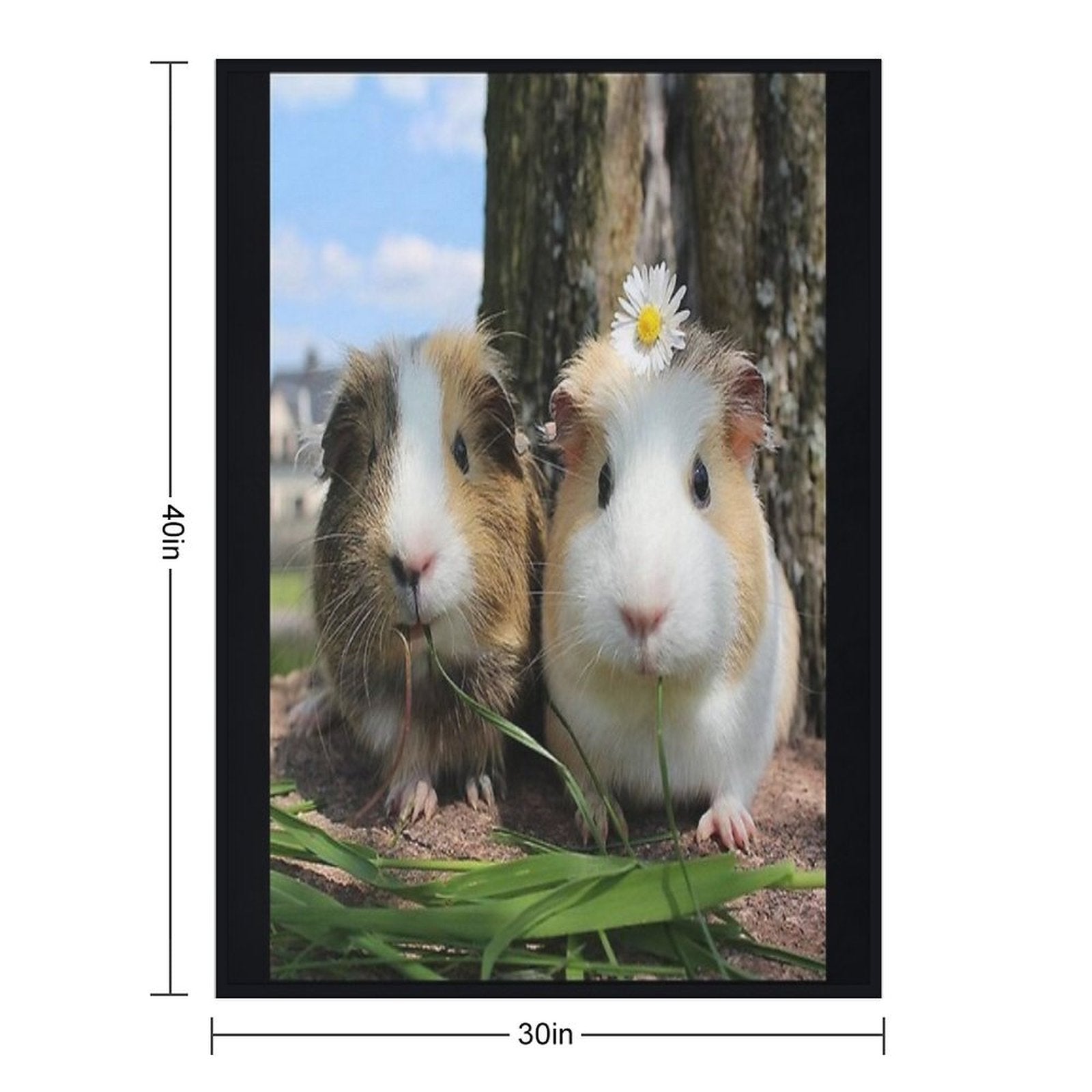 Guinea Pig – Cavy Collection – Model 01 Gift-ready Throw Blanket