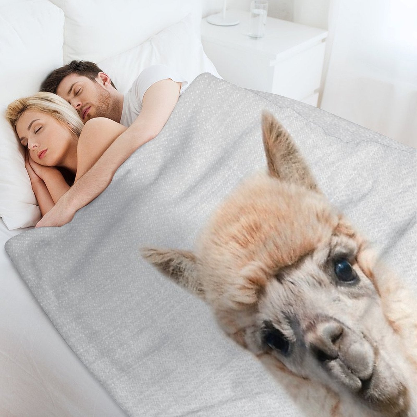 Alpaca - Colorful Velvety-soft Throw Blanket