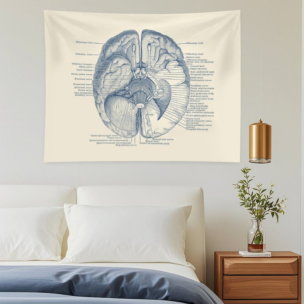 Brain Nervous System Diagram Tapestry