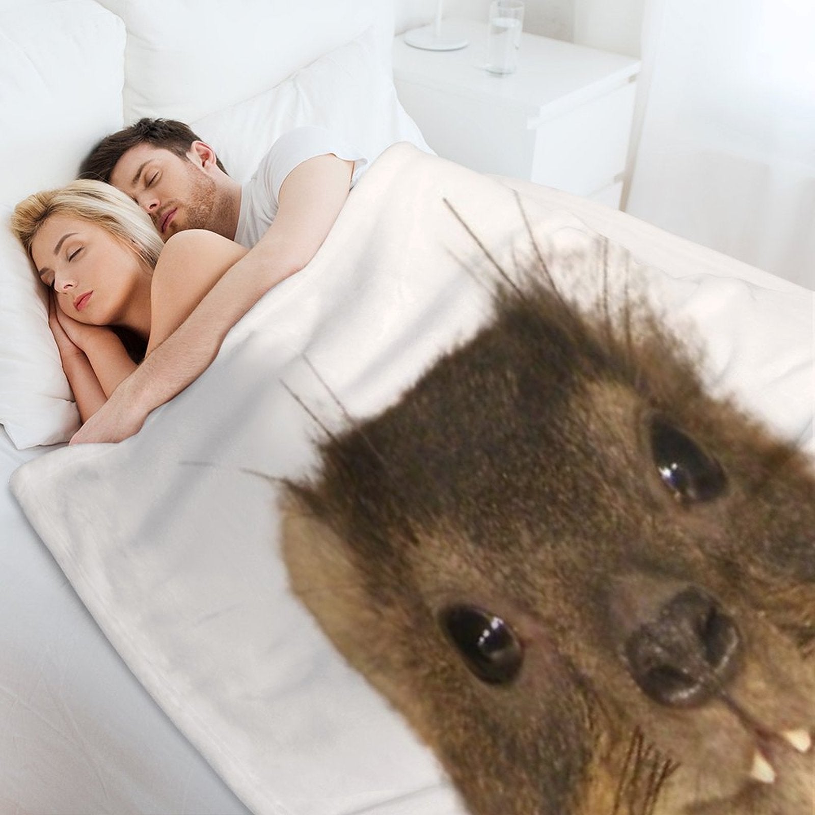 Rock Hyrax Photo - Dassie  Cute Vampire Potato Travel-friendly Throw Blanket