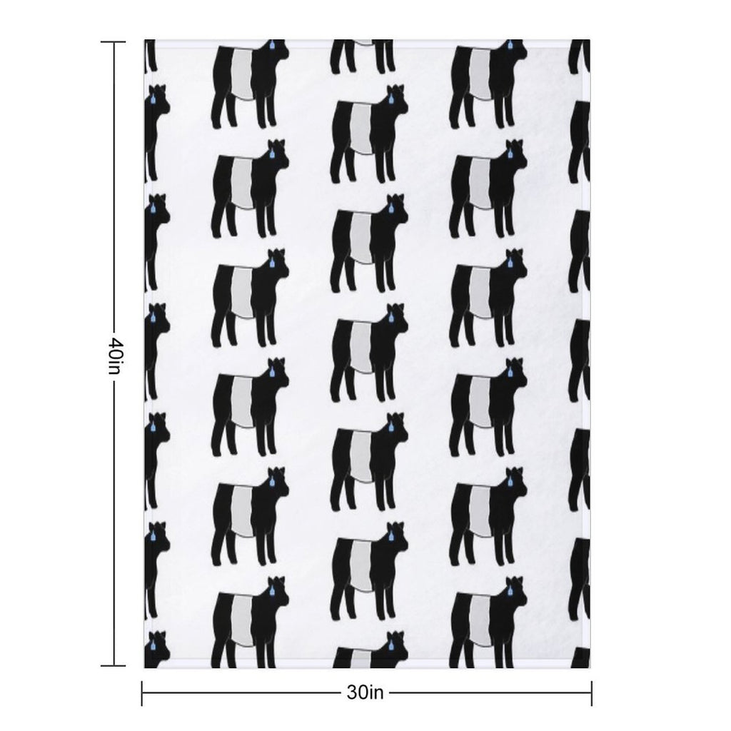 Belted Galloway Heifer Wrinkle-free Throw Blanket