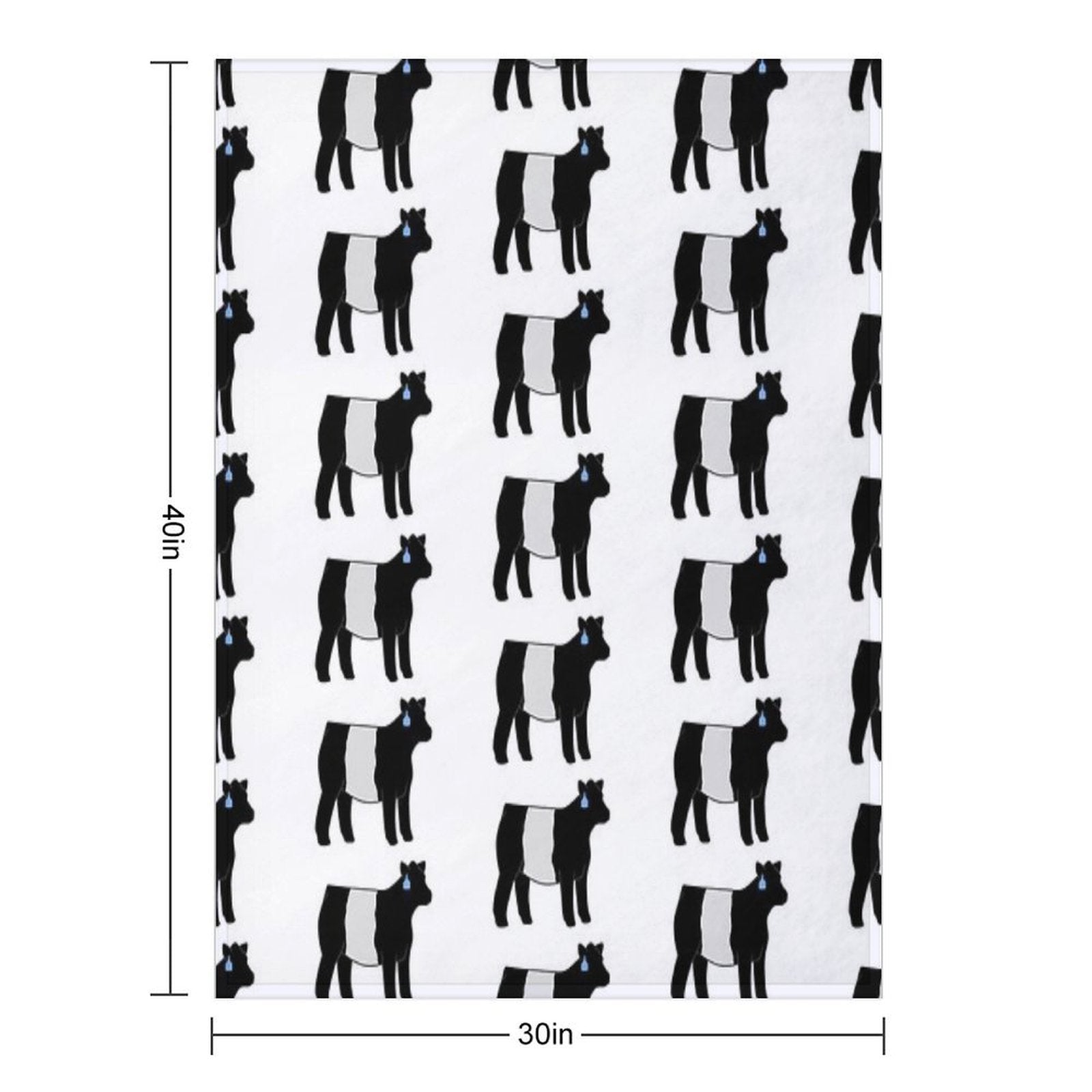 Belted Galloway Heifer Wrinkle-free Throw Blanket