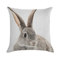 Rabbit 34 Soft High-Density Material Throw Pillow