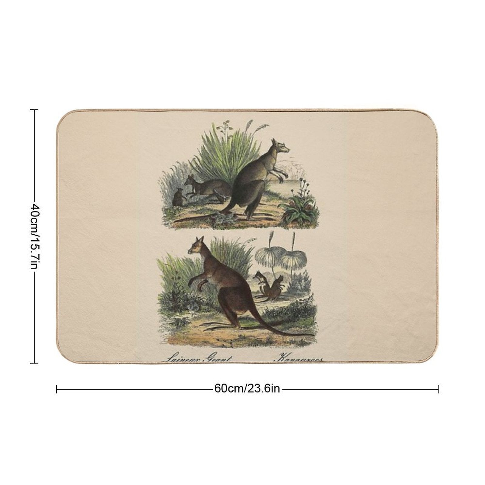 KANGAROO  Vintage 1854 Comte Print  Easy Maintenance Bath Mat