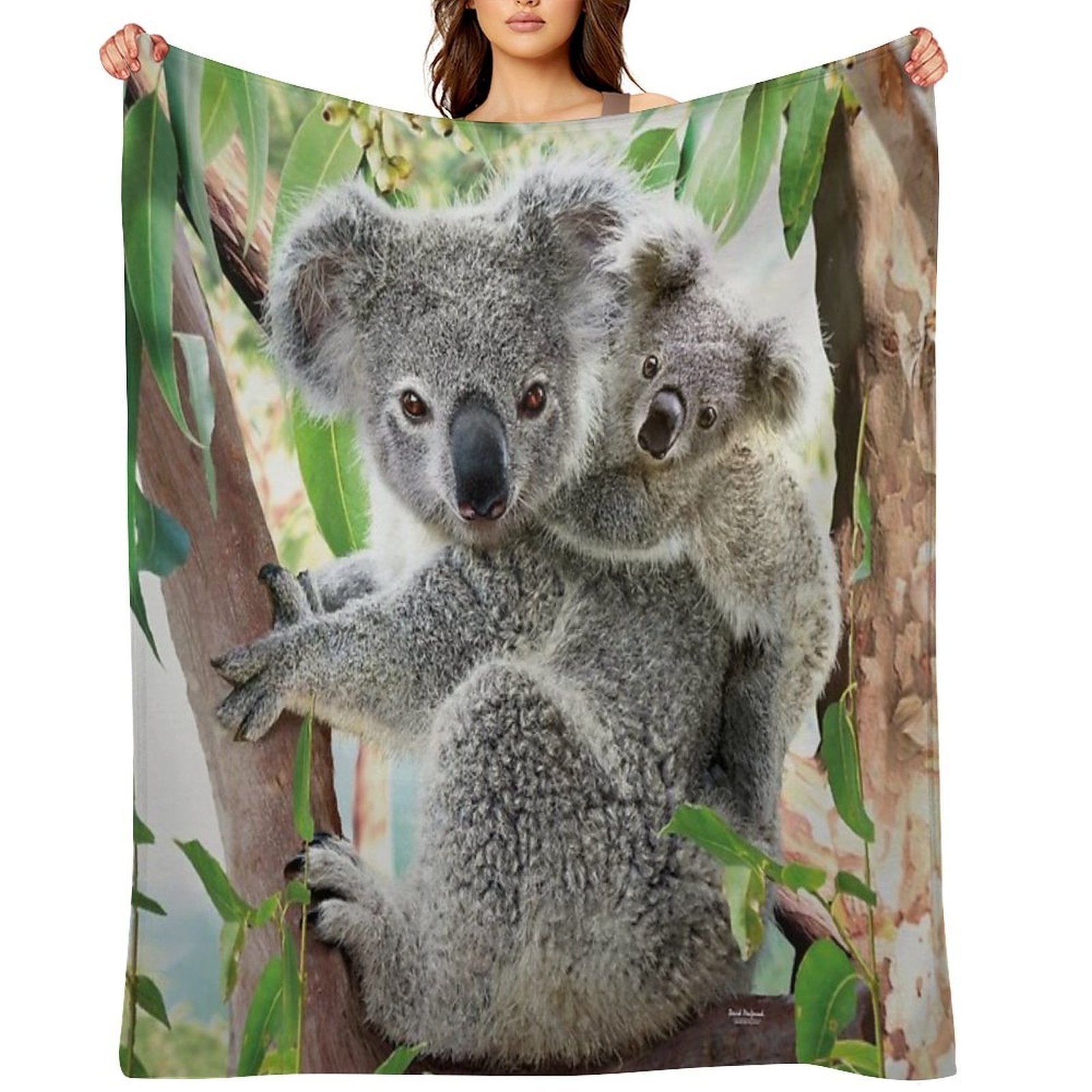 Koala Cuddles Velvety-soft Throw Blanket
