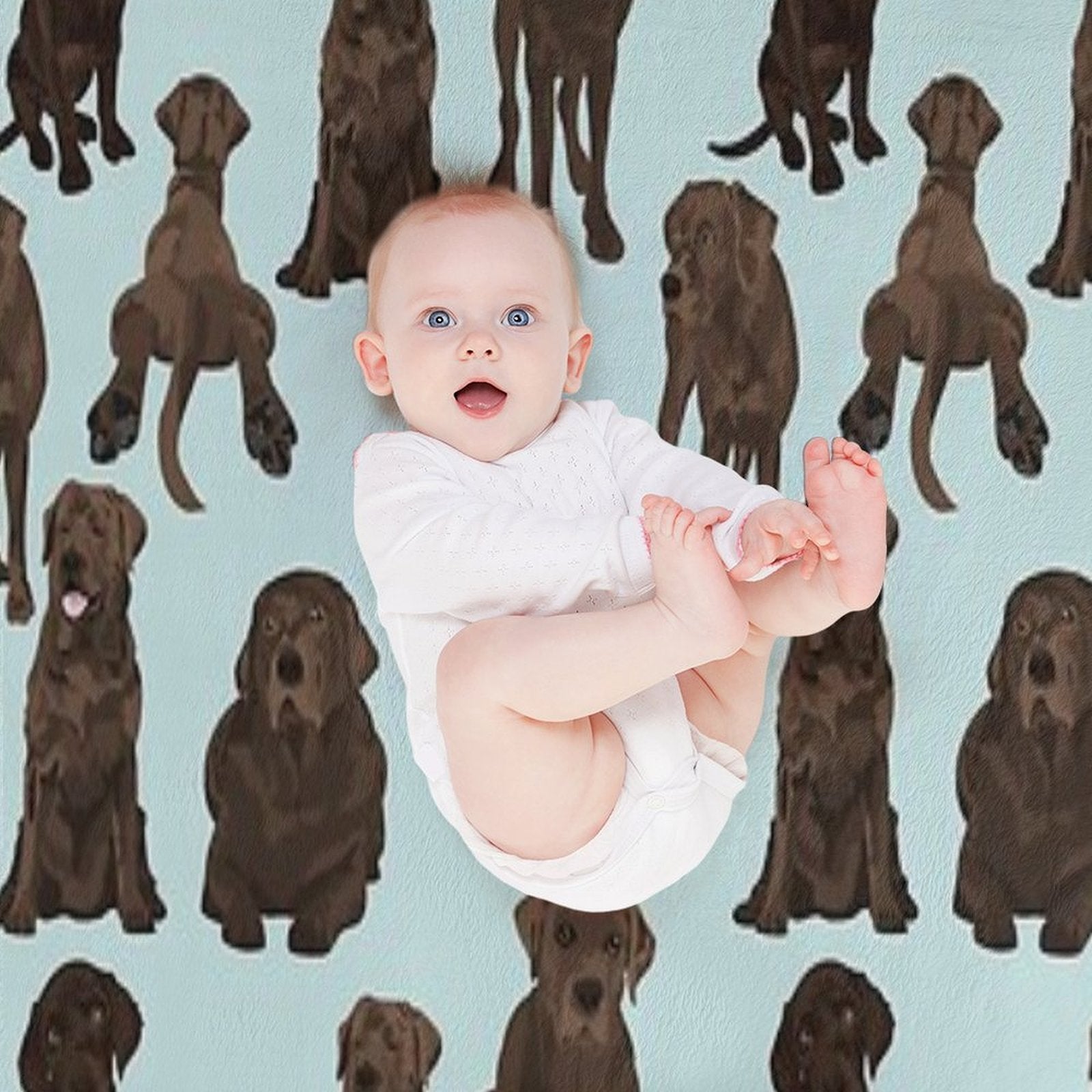 Chocolate Lab Quick-dry Throw Blanket