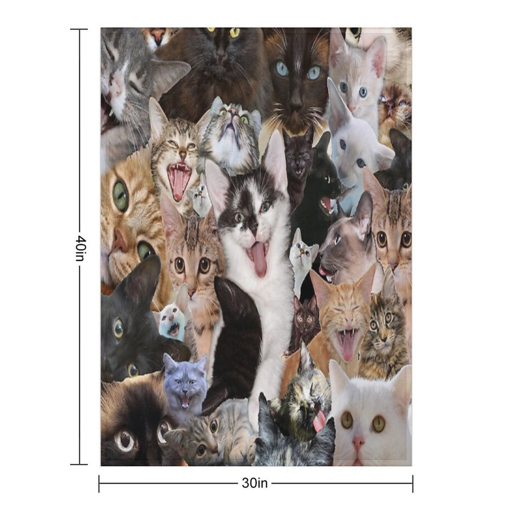 Cats Quick-dry Throw Blanket