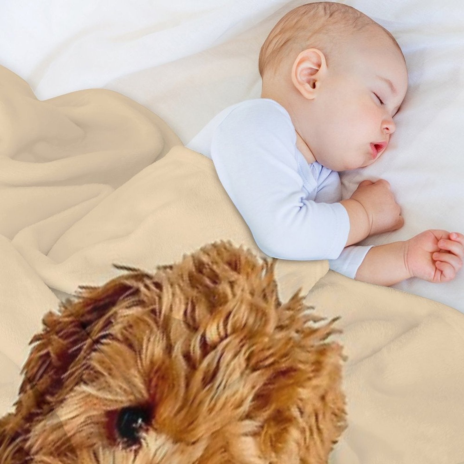 Cavapoo Multi-functional Throw Blanket