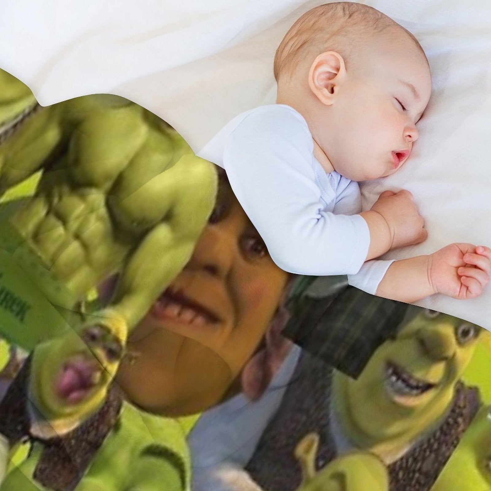 Shrek Meme Collage Gift-ready Throw Blanket