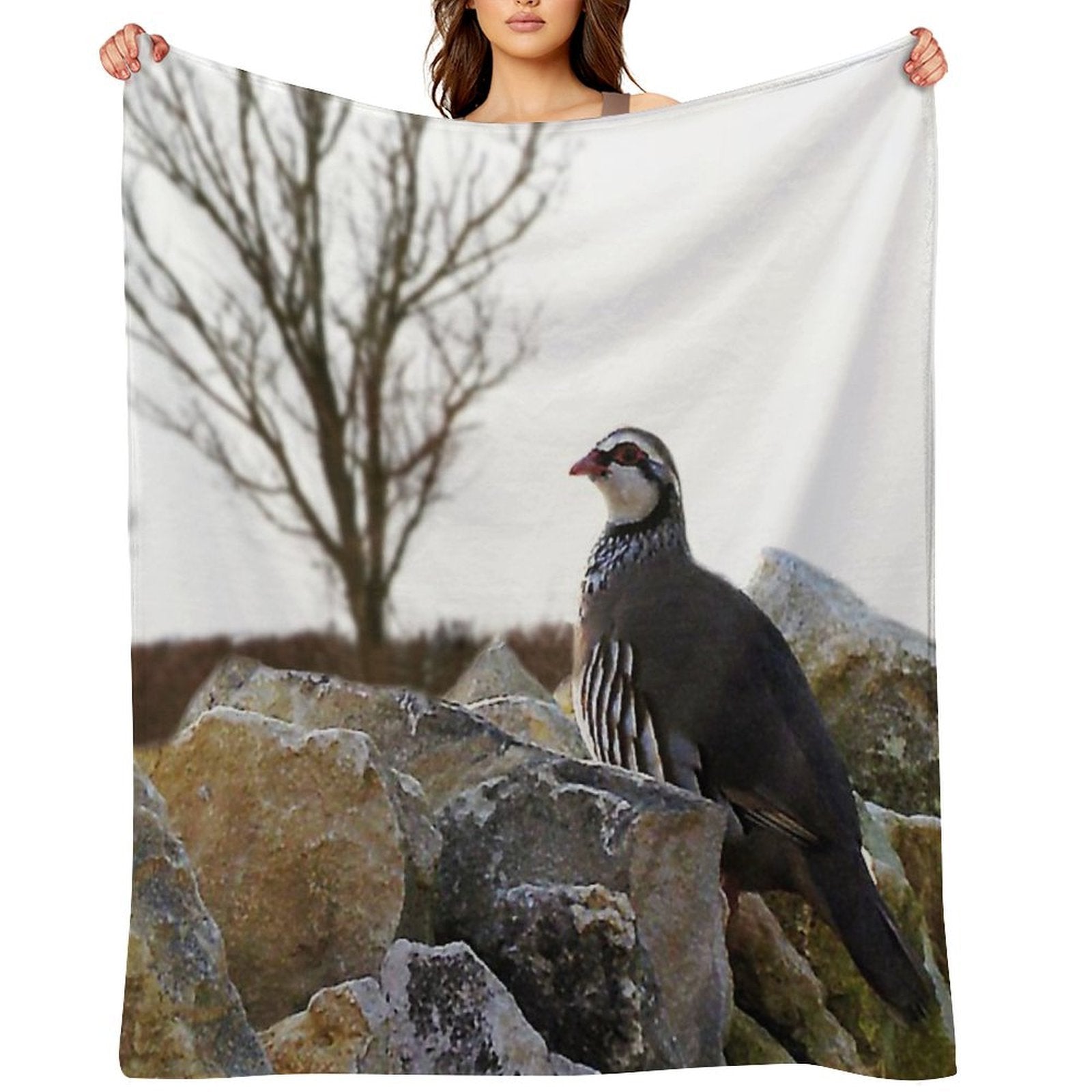 Winter Partridge Velvety-soft Throw Blanket