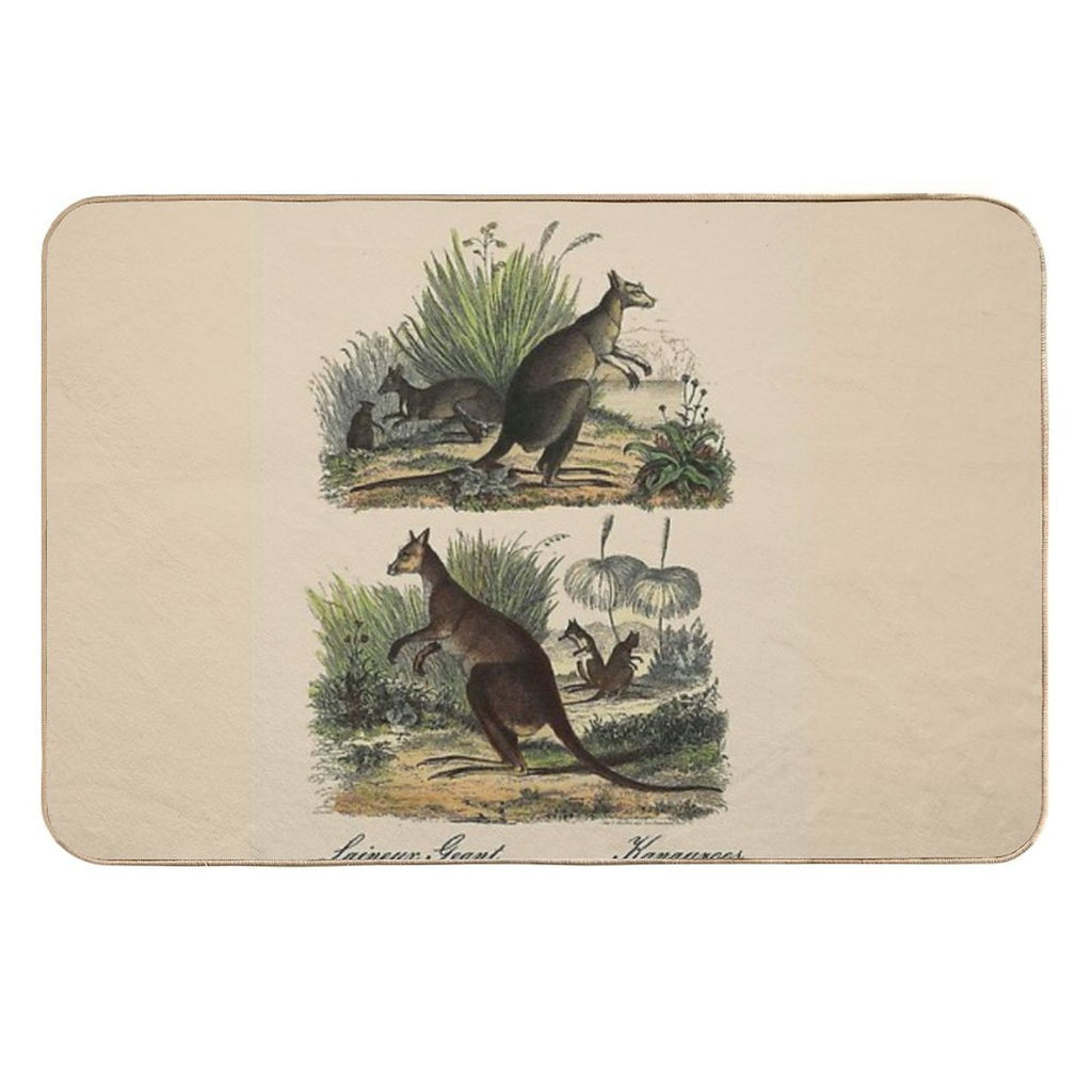 KANGAROO  Vintage 1854 Comte Print  Easy Maintenance Bath Mat