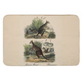 KANGAROO  Vintage 1854 Comte Print  Easy Maintenance Bath Mat