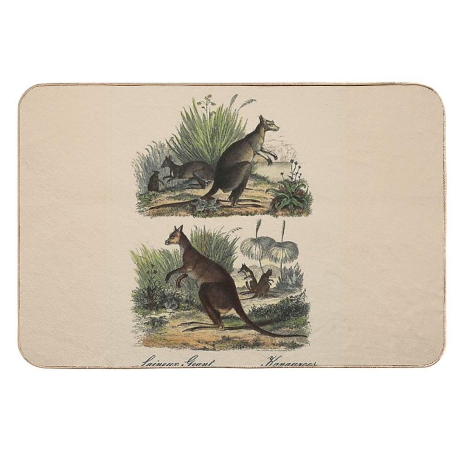 KANGAROO  Vintage 1854 Comte Print  Easy Maintenance Bath Mat