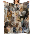 Cuteness Overload Wrinkle-free Throw Blanket
